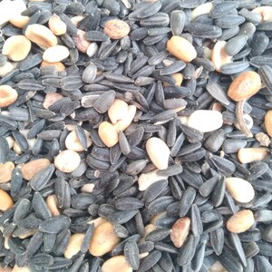 Wild Bird Food For Backyard Bird Feeders * 2 - 4 lbs. Premium Seed Mixtures for Outdoor Bird Feeding * Hand Packed Triple Cleaned USA Seed