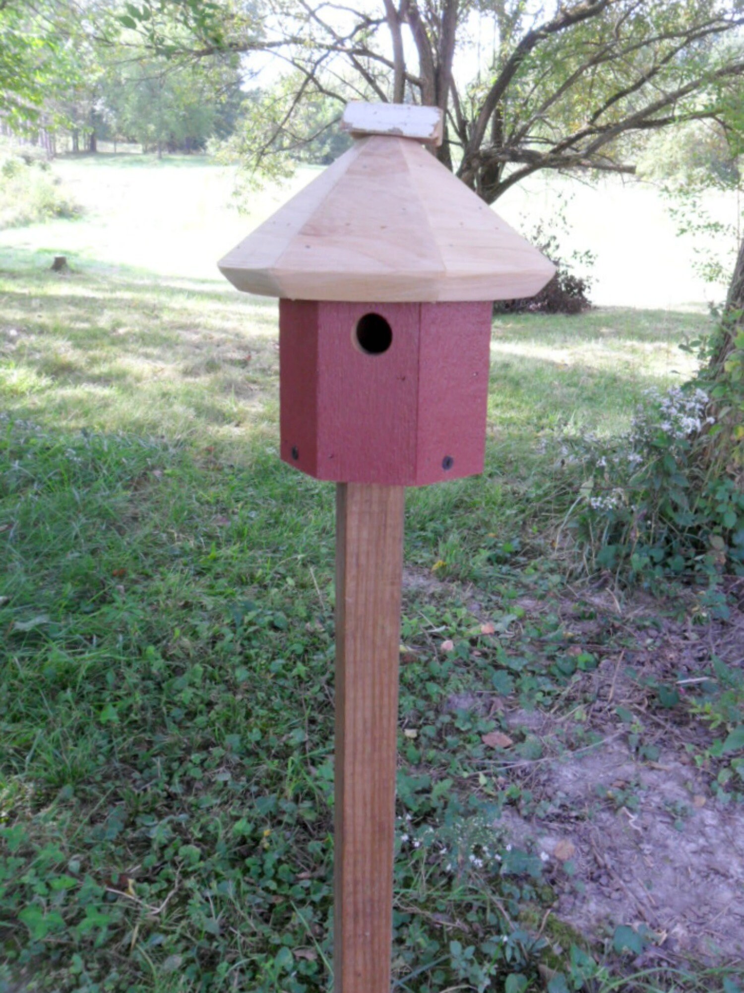 Rustic Birdhouse and Wood Pole Bird house on Pole Outdoor | Etsy