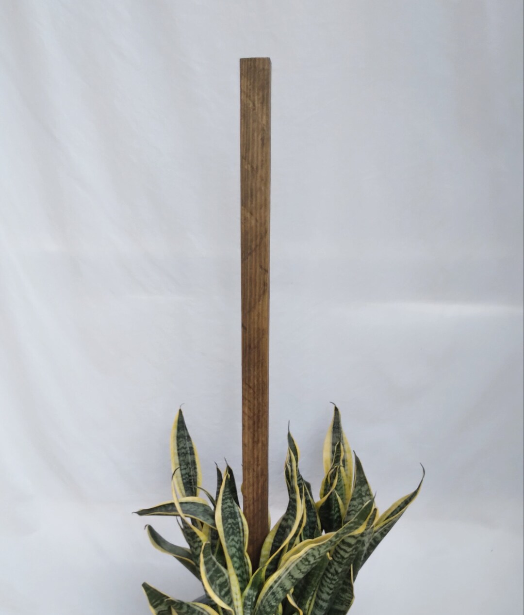 Bird House Mounting Pole, Outdoor Pole With Steel Stake, Handcrafted