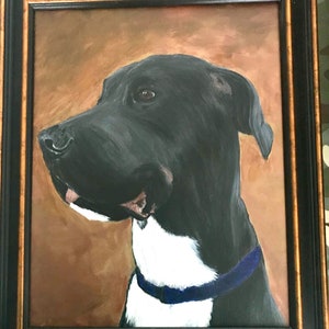 Painted Pet Portrait - FREE SHIPPING!