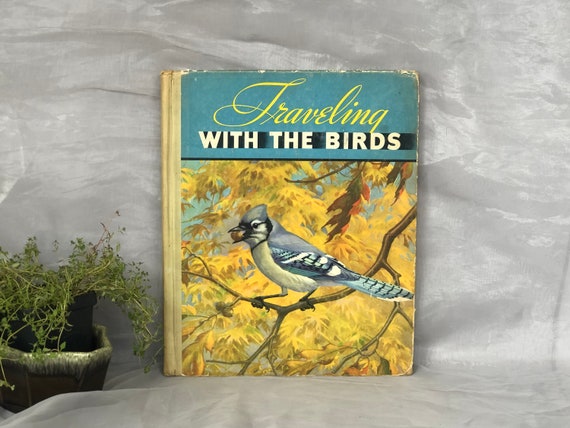 Vintage Children's Bird Book, Birding Coffee Table Book Decor