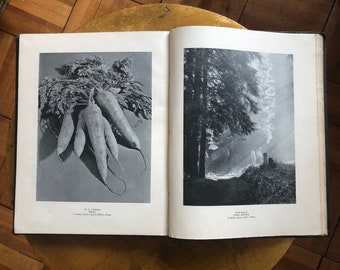 Vintage Photography Book Decor, Czech Art Photography, Vintage Photograph Collection, 1930s Photos, Photographer Gift Idea, 1930s Home Decor