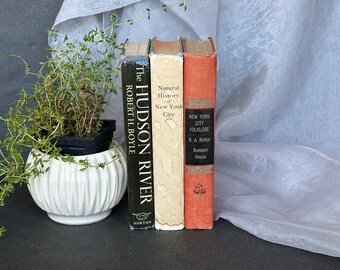 Vintage New York Book Set for Home Bookshelf Decor