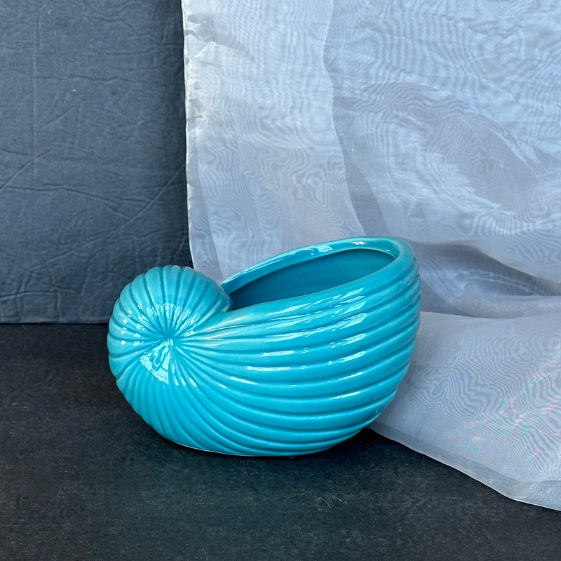 Shell Planter - Etsy