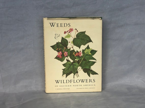 Weeds & Wildflowers of Eastern North America Vintage - Etsy