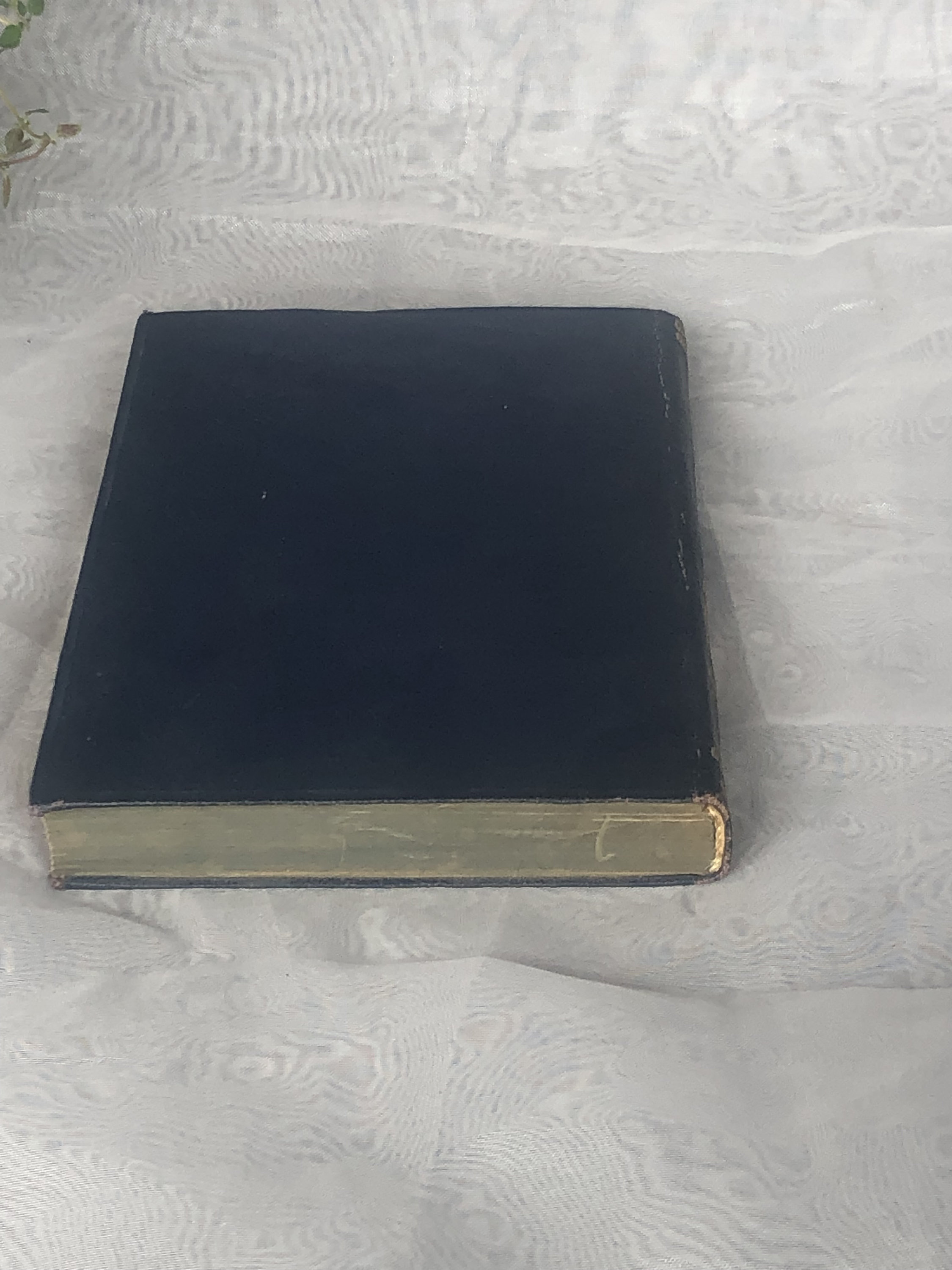 Emily Bronte Wuthering Heights Book Cover Art" Poster For Sale By