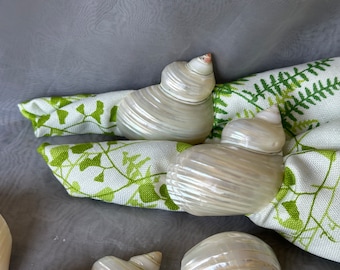 Vintage Genuine Sea Shell Napkin Rings Set of 12 Seashell Beach House Decor