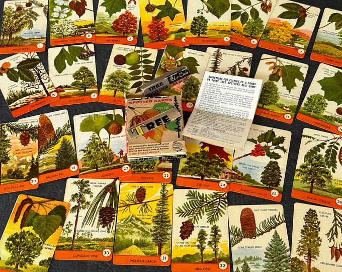 Vintage Ed-u Card Tree Spotter Quiz Game Forestry Naturalist Home Decor ...