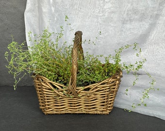 Vintage Gold Hand Woven Wicker Basket with Handle