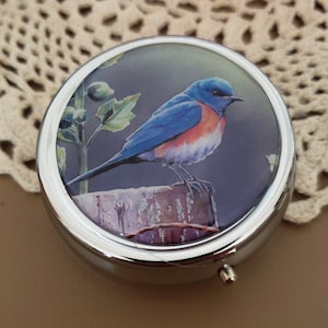 Blue Bird Pill Box, Cute Pill Case, Pill Box Organizer, Pill Case for Purse, Pill Holder, Travel Pill Case, Mint Case, Vitamin Case, Pretty