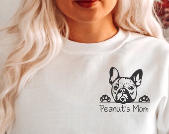 frenchie sweater h&m