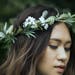 see more listings in the FlowerCrowns/Dog Collars section