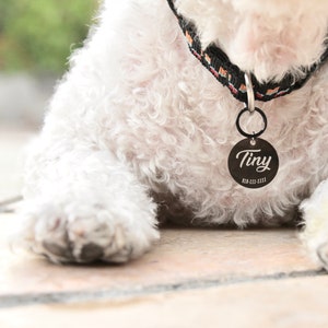 Hondenpenning met microchip | Aangepaste hondenpenning | Gechipt | Huisdierpenning | Hondenidentificatielabel | Hondenhalsband | Puppytag | Gepersonaliseerde hondenpenning | Cadeaus voor huisdieren