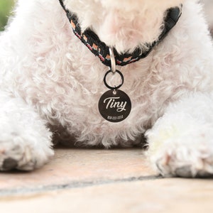 Microchip Dog Tag Custom Dog Tag Microchipped Pet Tag Dog ID Tag Dog Collar Puppy Tag Personalized Dog Tag Pet Gifts image 1