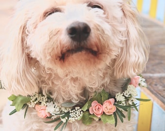 Dog Flower Collar | Dog Wedding Flower Collar | Dog flower wreath | Dog wedding collar | Wedding decor | Dog wedding Sign