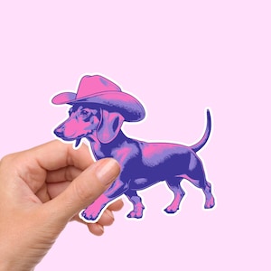 May include: A purple and pink dachshund wearing a pink cowboy hat. The dog is looking to the left.