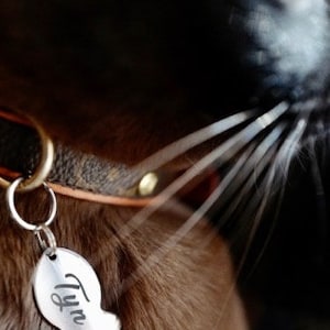Cat Tag | Cat Id Tag | Pet ID tag | Cat Tag Personalized | Personalized Pet Tag | Custom Pet Tag | Cat Collar | Cat lover gift | Cat tags