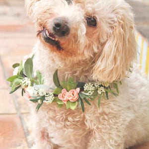 Dog Flower Collar Dog Wedding Flower Collar Dog flower wreath Dog wedding collar Wedding decor Dog wedding Sign image 4