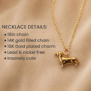 May include: A gold-coloured necklace featuring a dachshund charm. The chain is approximately 45.7 cm long and the charm is gold-plated. The chain is 14K gold filled and the necklace is lead and nickel free.