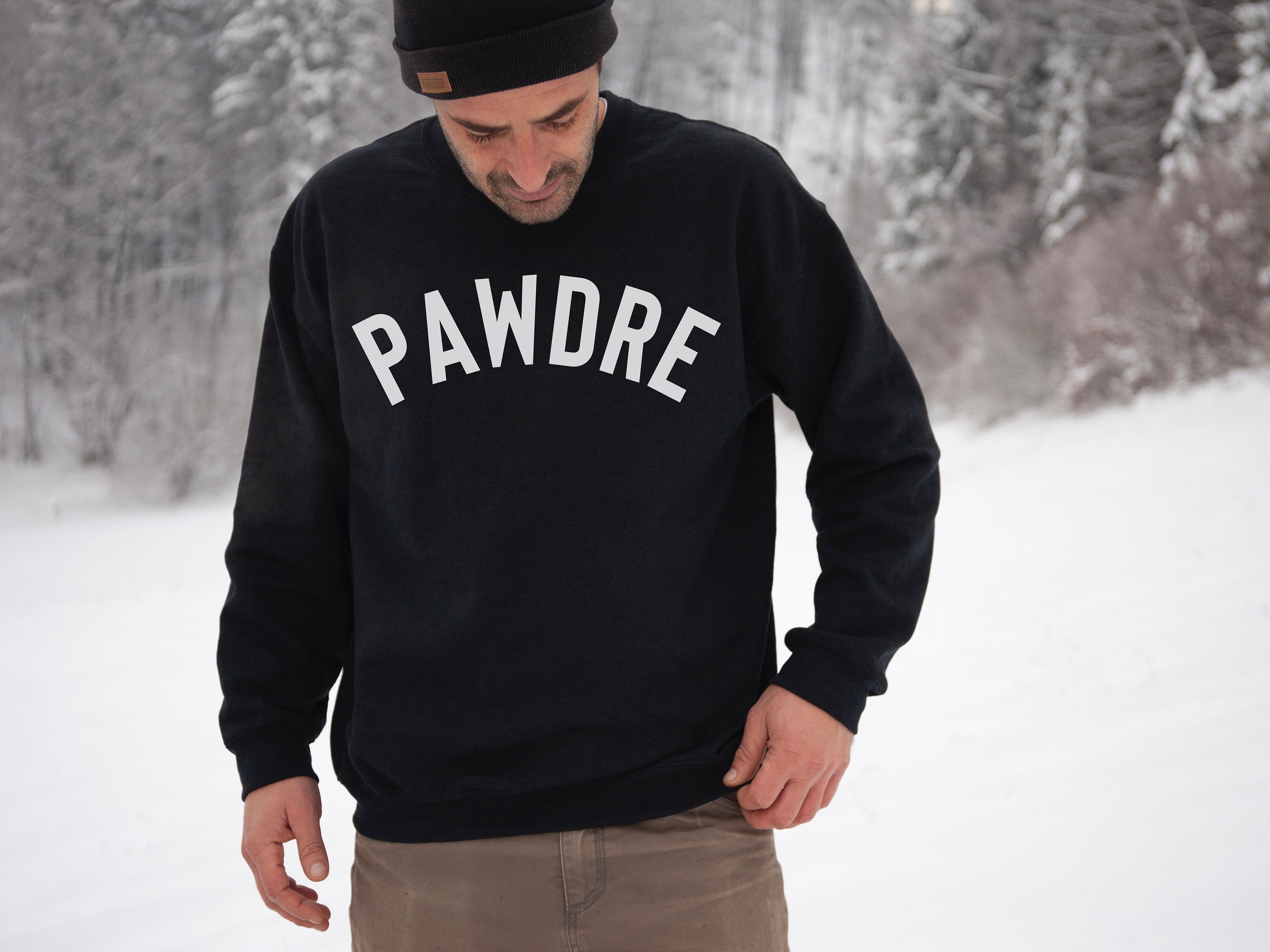 Dog Dad Gift Dog Dad Sweatshirt Dog Sweatshirt Dog Hoodie - Etsy