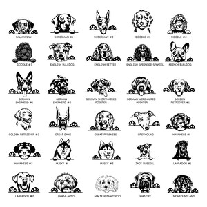 May include: Black and white illustrations of various dog breeds, each with a paw print border. The dog breeds include Dalmatian, Doberman, Doodle, English Bulldog, English Setter, English Springer Spaniel, French Bulldog, German Shepherd, German Shorthaired Pointer, German Wirehaired Pointer, Golden Retriever, Great Dane, Great Pyrenees, Greyhound, Havanese, Husky, Jack Russell, Labrador, Lhasa Apso, Maltese/Maltipoo, Mastiff, and Newfoundland.