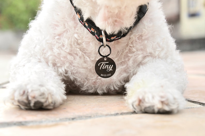 Microchip Dog Tag Custom Dog Tag Microchipped Pet Tag Dog ID Tag Dog Collar Puppy Tag Personalized Dog Tag Pet Gifts image 1