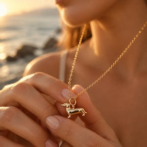 May include: A gold-coloured dachshund pendant necklace. The pendant is a detailed miniature of a dachshund dog. The necklace chain is delicate and also gold-coloured. The background is a blurred outdoor scene with a warm, golden light.