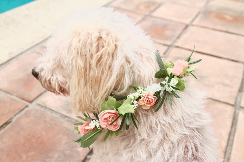 Dog Flower Collar Dog Wedding Flower Collar Dog flower wreath Dog wedding collar Wedding decor Dog wedding Sign image 5