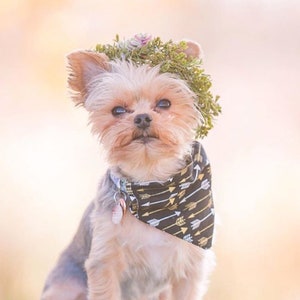 Dog Flower Collar Dog Wedding Flower Collar Dog flower wreath Dog wedding collar Wedding decor Dog wedding Sign image 9