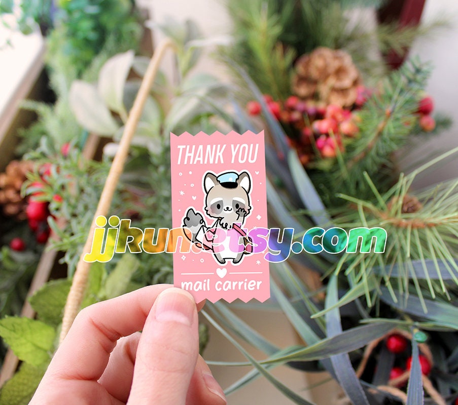 Raccoon 
