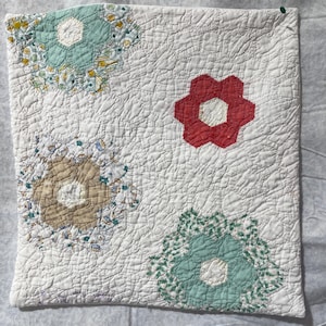 Taie d&#39;oreiller de jardin de fleurs de grand-mère vintage