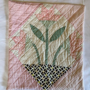 Carolina Lily Pillow Covers