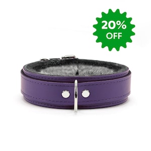 May include: Purple leather collar with a black fur lining and silver hardware. The collar has two silver snaps and a silver D-ring.
