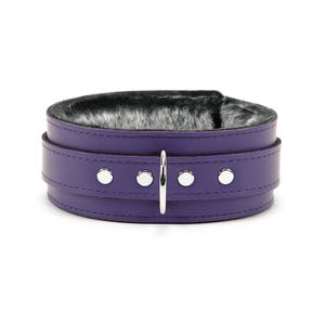 May include: A purple leather collar with a silver metal ring and four silver metal studs. The collar is lined with gray faux fur.