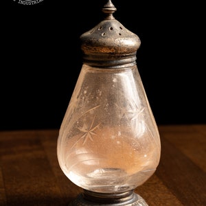 Vintage Etched Glass Salt Shaker