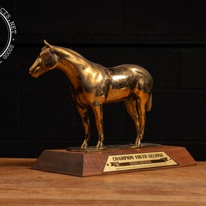 Aqha Trophy - Etsy