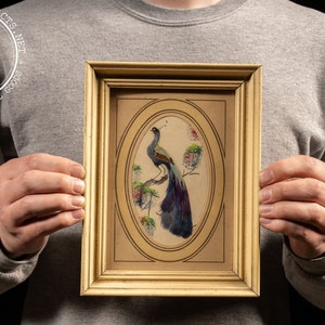 Vintage Framed Peacock Feather Art