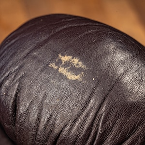 Vintage Everlast 2616 Boxing Gloves image 7
