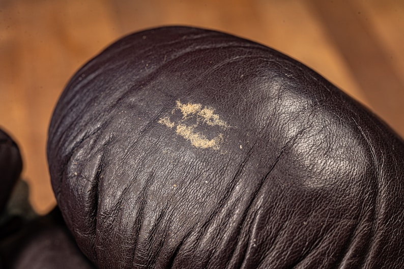 Vintage Everlast 2616 Boxing Gloves image 7