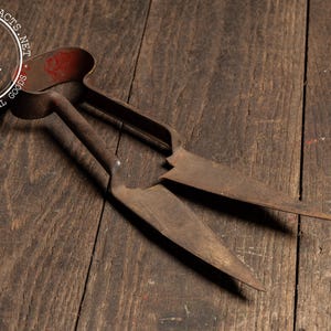 May include: Vintage metal grass shears with a red handle detail, resting on a weathered wooden surface. The shears show signs of age and use, with a rusty patina. The blades are open, ready for use. The image includes a circular logo with the letters "IA".