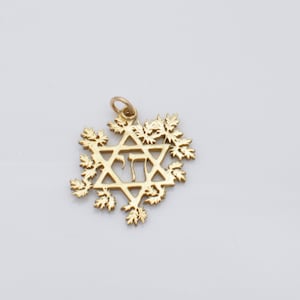 Artemisia star necklace jewelers brass