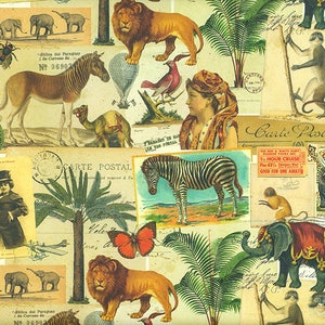 Carte Postale - Geschenkpapier aus Italien