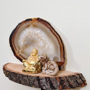 Small Nature Spirit Shelf with Live Edge