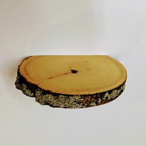 Set of 2 Fairy Size Nature Spirit Shelves