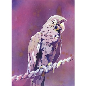 Dipinto ad acquerello di un pappagallo colorato, decorazione da parete con uccelli della giungla tropicale, decorazione per la camera dei bambini, belle arti, fauna selvatica, decorazione per la casa (stampa)