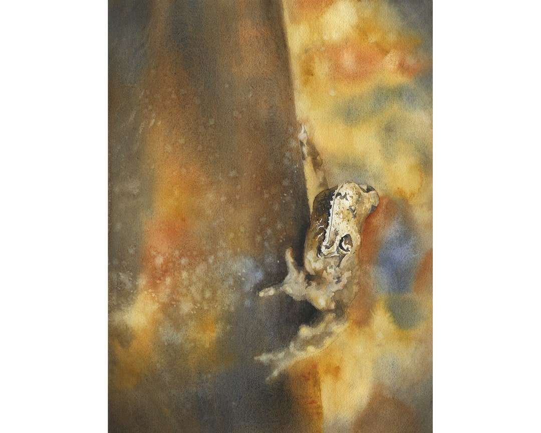 Tree Frog Artwork. Watercolor Painting of Tree Frog Yellow - Etsy