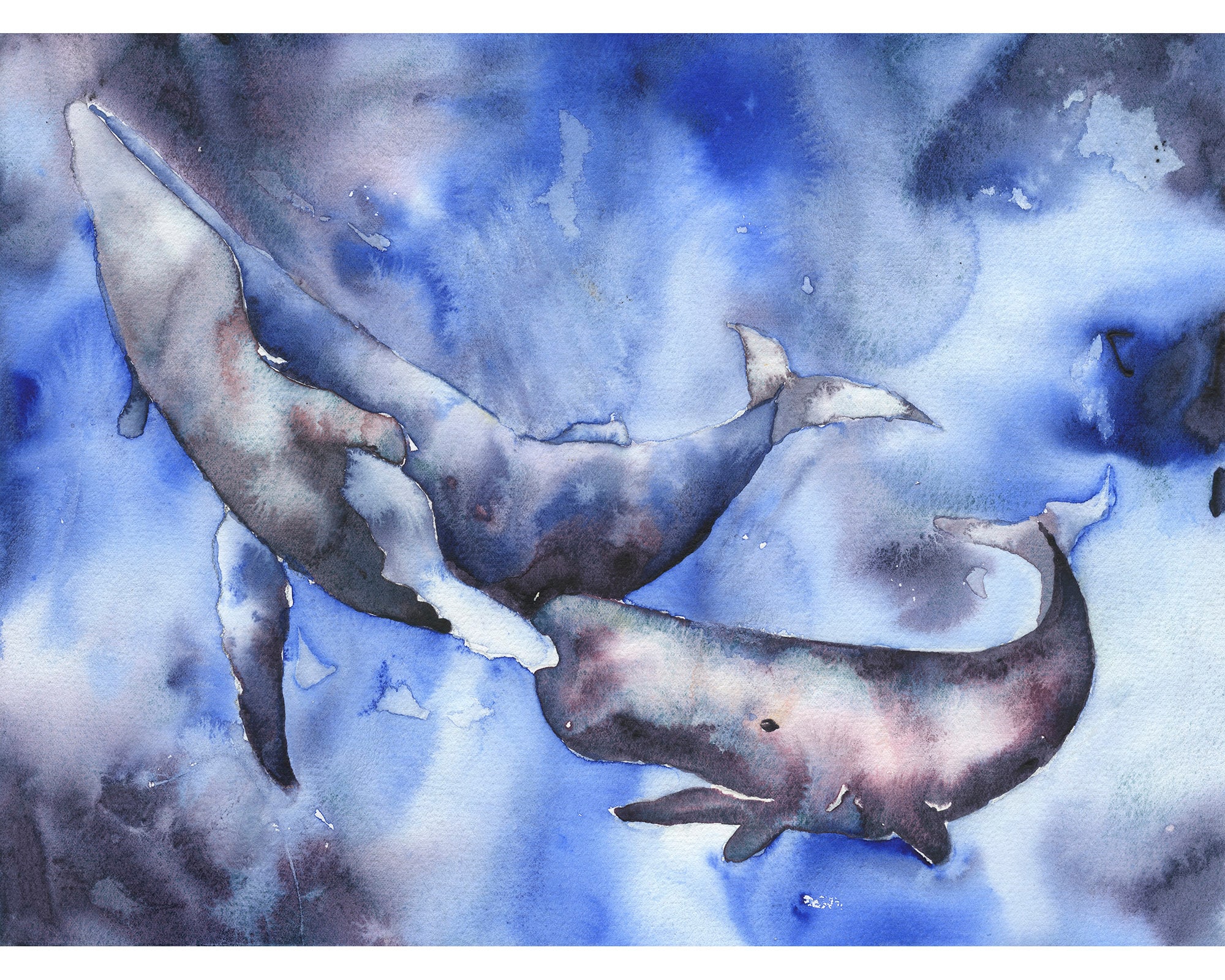 クジラと海の生き物たち手描き il_fullxfull.3735966345_i2iq.jpg