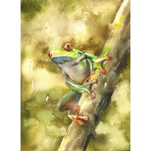 Rana colorata originale, pittura ad acquerello di fauna selvatica, decorazione murale di anfibi per la cameretta dei bambini, opera d'arte di animali della natura per la casa.