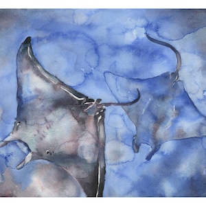Rochen schwimmt im Meer Aquarellmalerei Stachelrochen im Meer.  Meerestier Kunstwerk blau Aquarell Malerei Strahlen ocean art Fine Art (Druck)