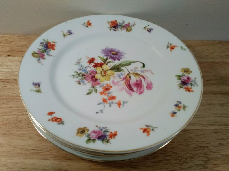 Schwarzburg China Dinner Plates German Porcelain4 pc set Etsy